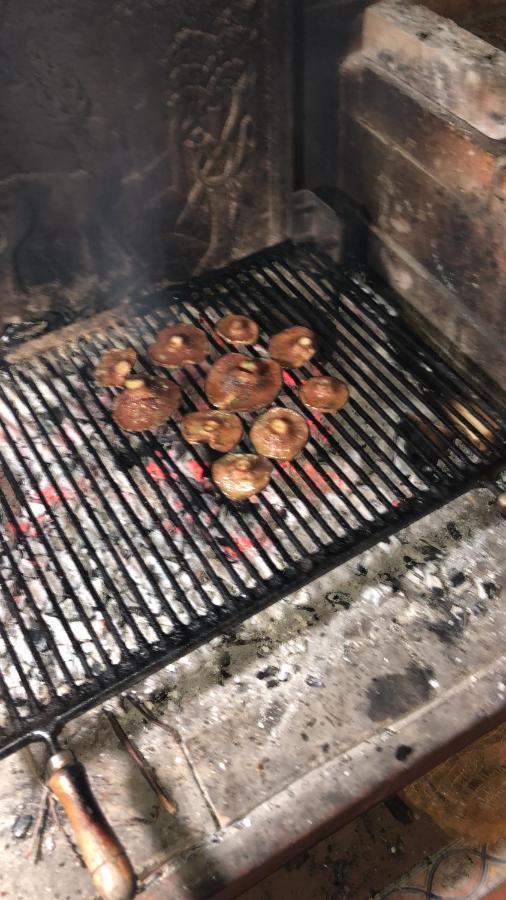 Cal Barral Villa Ansobell Dış mekan fotoğraf